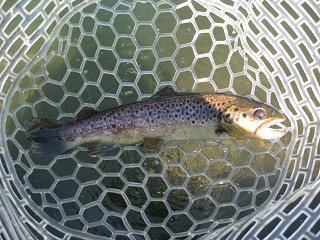 f0065341_2218279.jpg