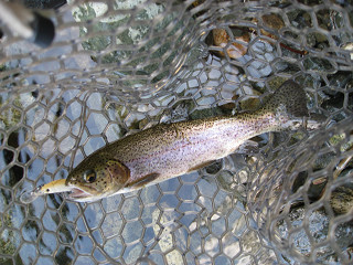 f0065341_22205779.jpg