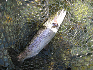 f0065341_22242218.jpg