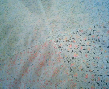 e0111142_151632100.jpg
