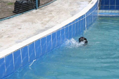 e0018143_1403484.jpg