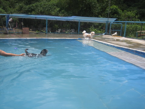 e0018143_1415484.jpg
