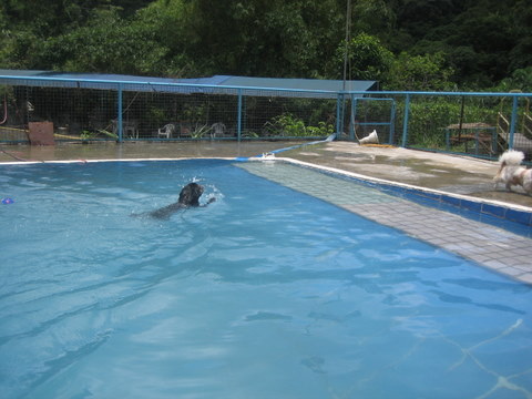 e0018143_1423198.jpg