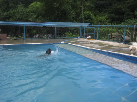 e0018143_1424811.jpg