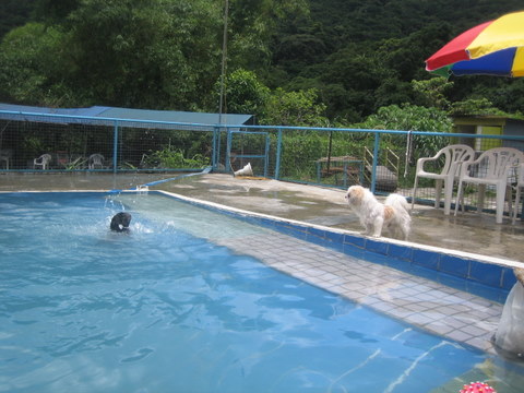 e0018143_1432038.jpg