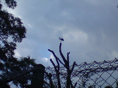 b0192247_22321984.jpg
