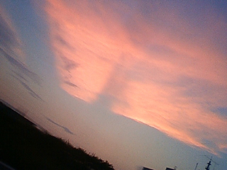 f0179947_1334547.jpg