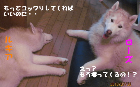 e0121548_20534163.jpg