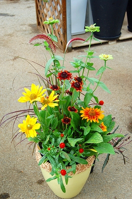 e0025655_527440.jpg
