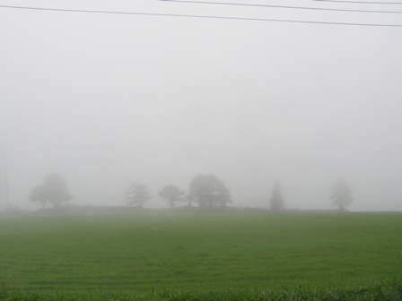 b0086858_15283.jpg