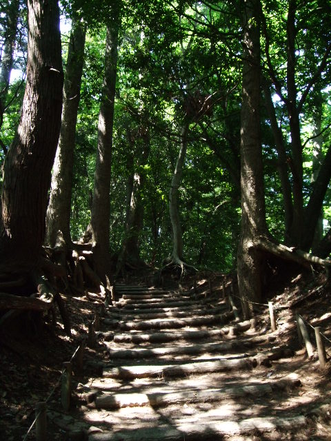 f0203260_05447.jpg
