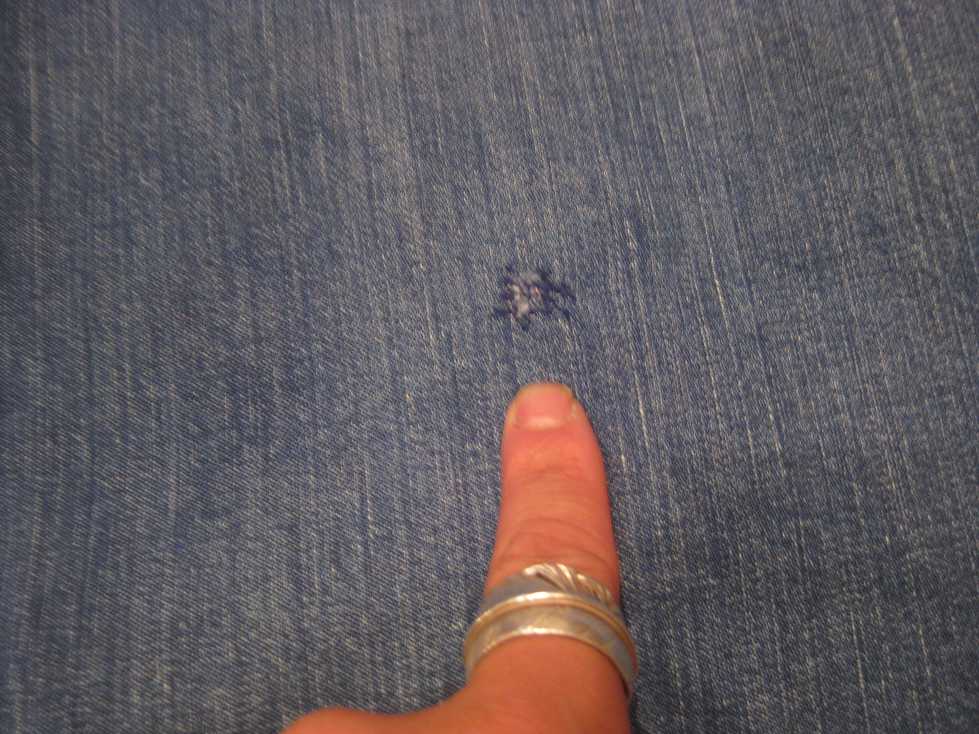 e0187362_1215645.jpg
