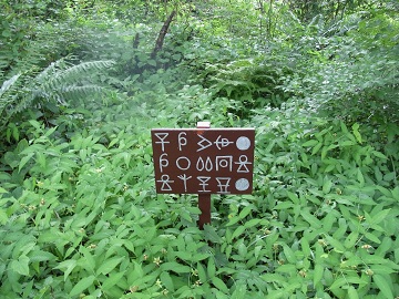e0062371_1855222.jpg
