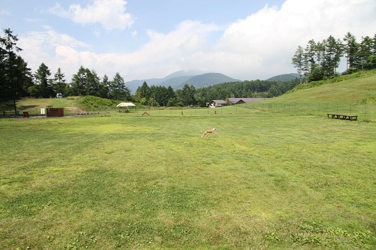 e0062371_190687.jpg