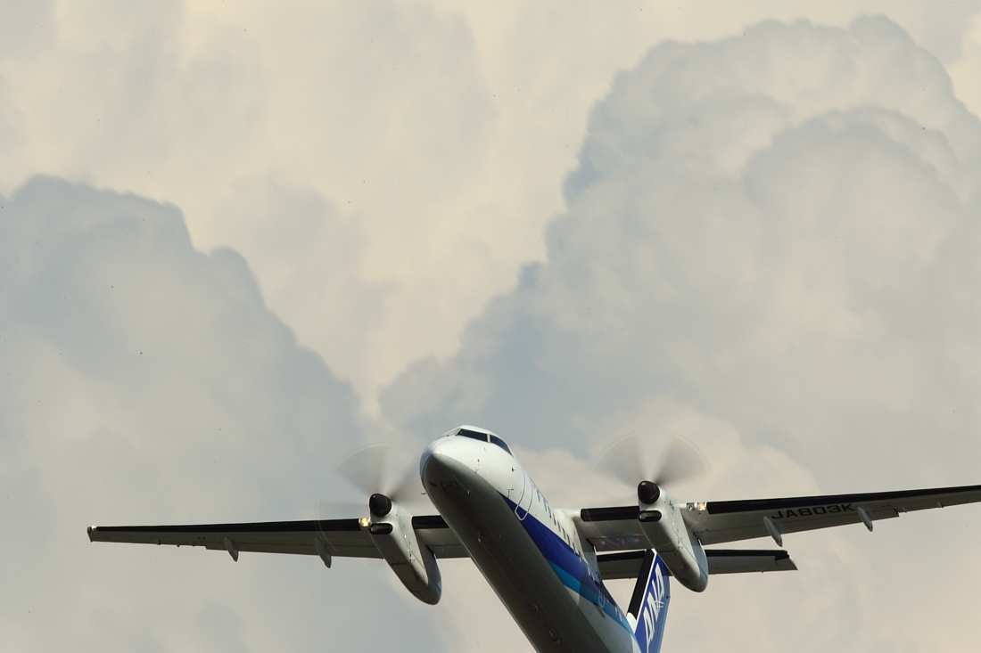 a0117972_2037932.jpg