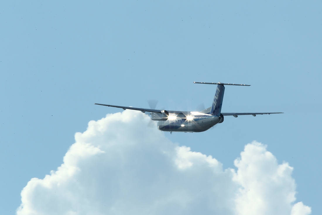 a0117972_20381694.jpg