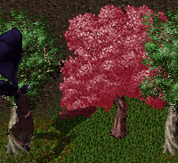 b0190672_17561212.gif