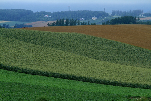 d0126577_22464170.jpg