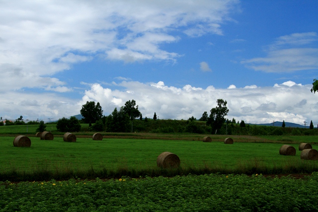 d0126577_22494955.jpg