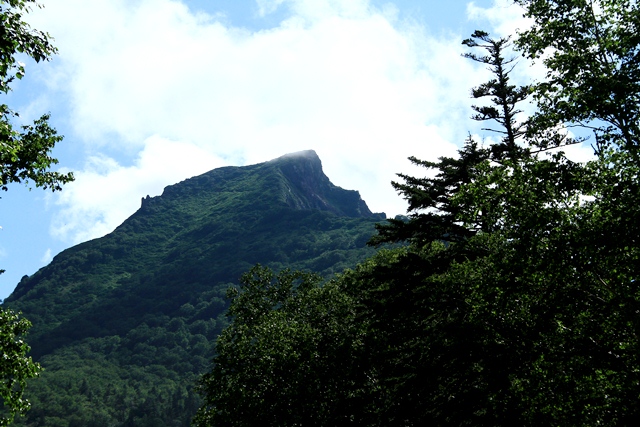 d0126577_2257528.jpg