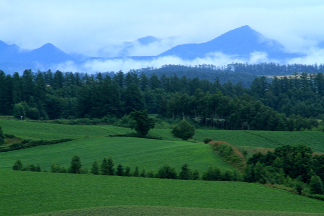 d0126577_2383197.jpg