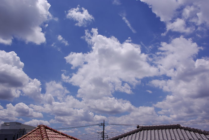 b0120979_172840.jpg
