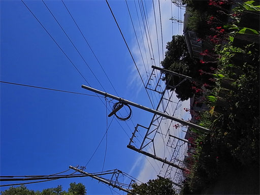 f0089079_10312786.jpg