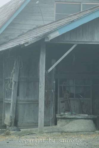 c0195281_8414383.jpg