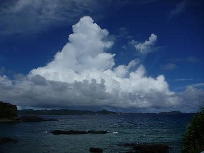 f0016981_326117.jpg