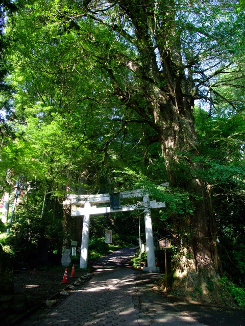 a0043982_2126535.jpg