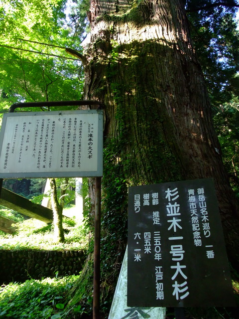 a0043982_2127287.jpg
