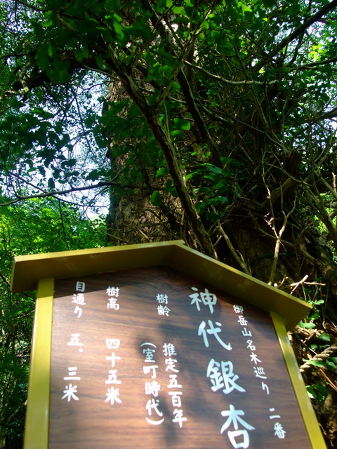 a0043982_2127575.jpg
