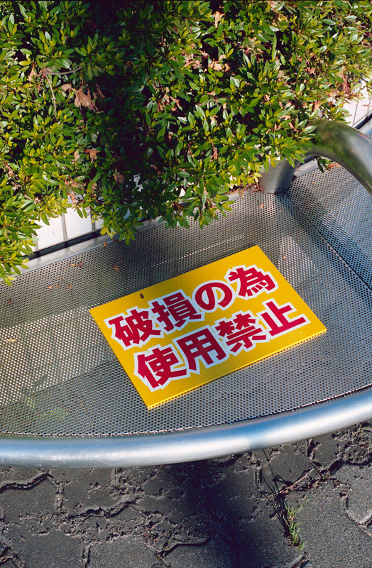 a0141385_8235080.jpg