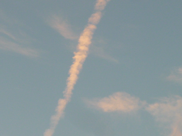 c0221885_207534.jpg