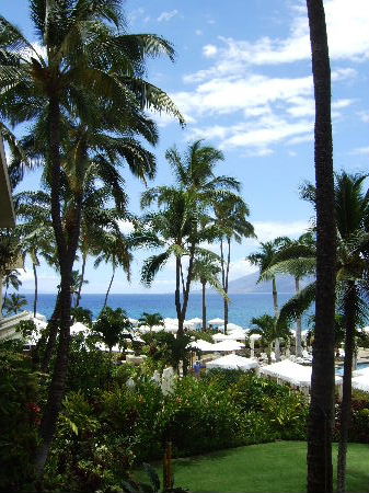 e0170687_1628520.jpg