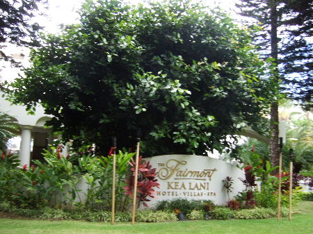 e0170687_16314798.jpg