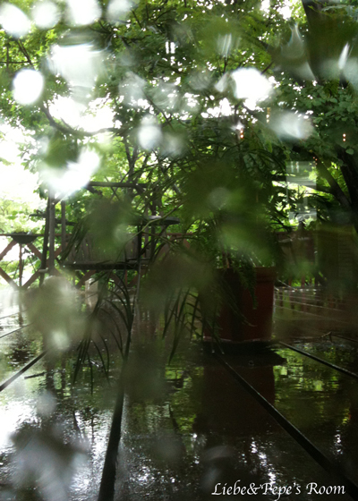 f0001895_1754792.jpg
