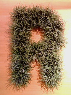 f0138995_2113782.jpg