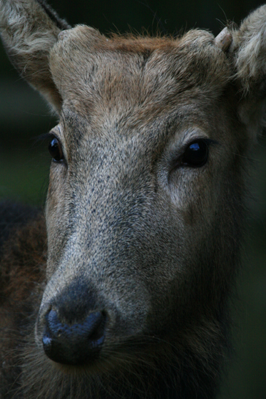 b0016600_2317911.jpg