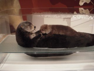 e0087901_2324799.jpg