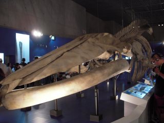 e0087901_2343190.jpg