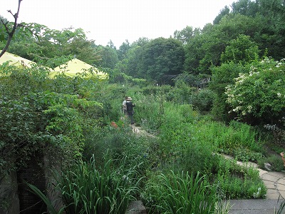 c0117007_2313561.jpg
