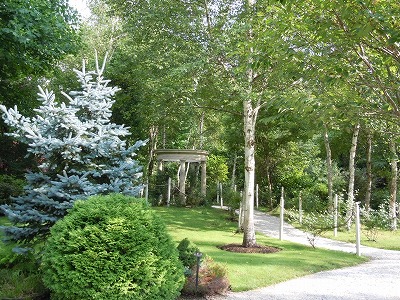 c0117007_232123.jpg