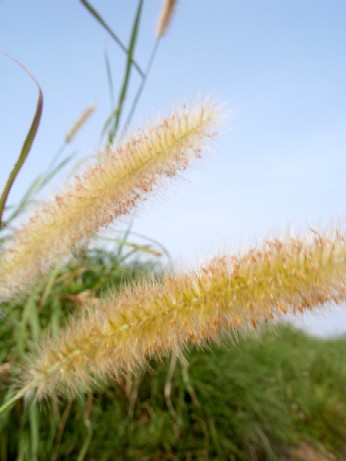 f0043911_0341775.jpg