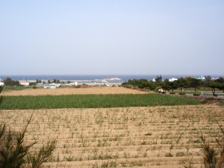 f0043911_0344160.jpg