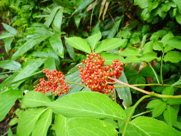 d0170615_3265314.jpg