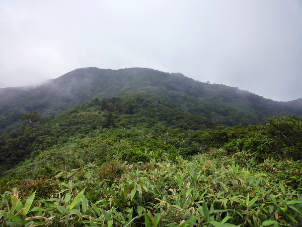 d0170615_33143.jpg