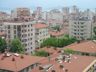 b0182718_1730035.jpg
