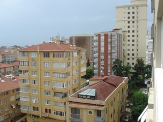 b0182718_17392219.jpg