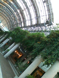 a0056722_13524452.jpg